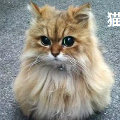 人物头像